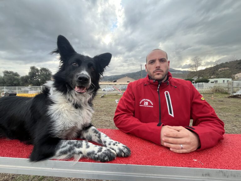 Focu : Le 1er chien pisteur de Corse